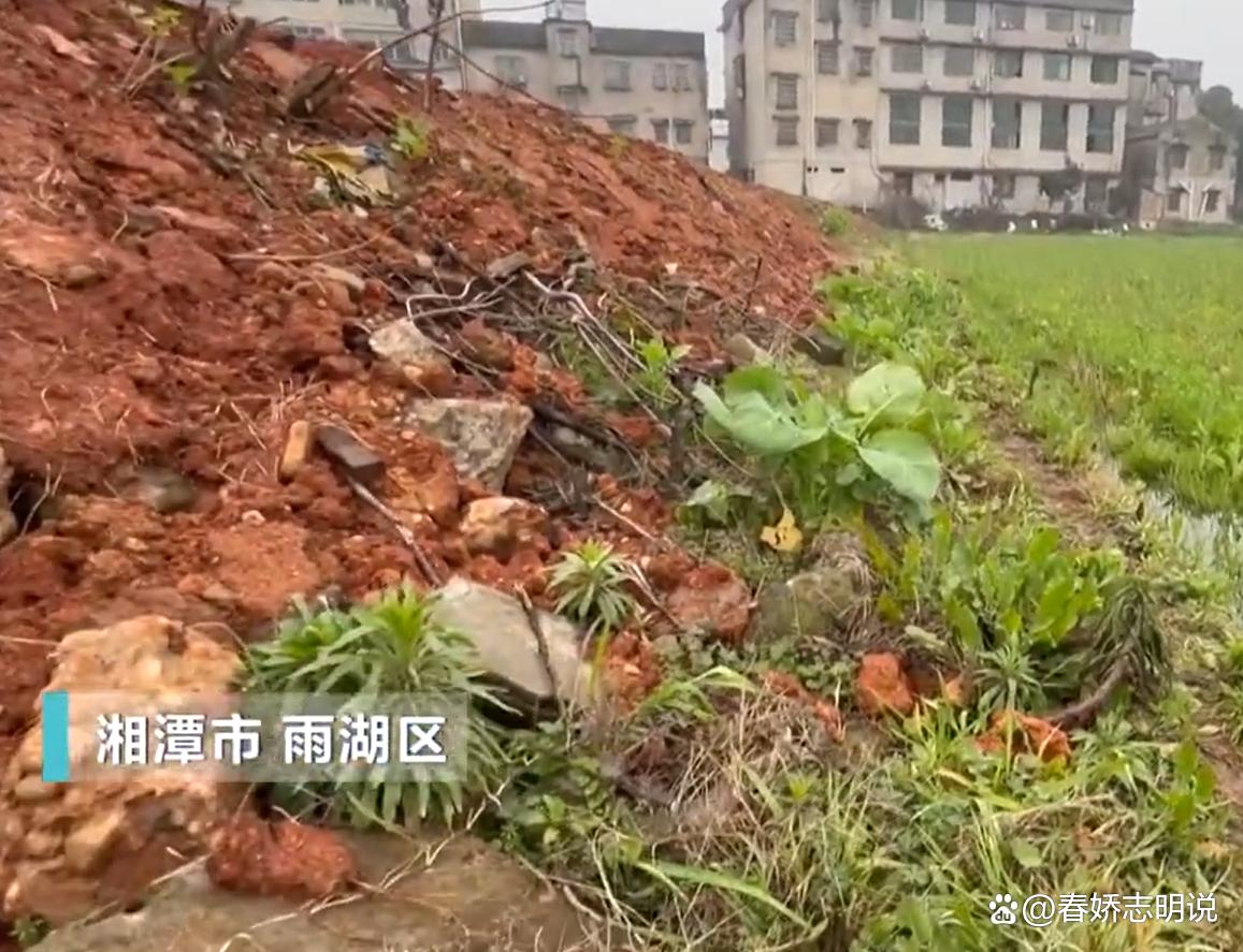 央视揭露：永久耕地遭污染，真相令人震惊